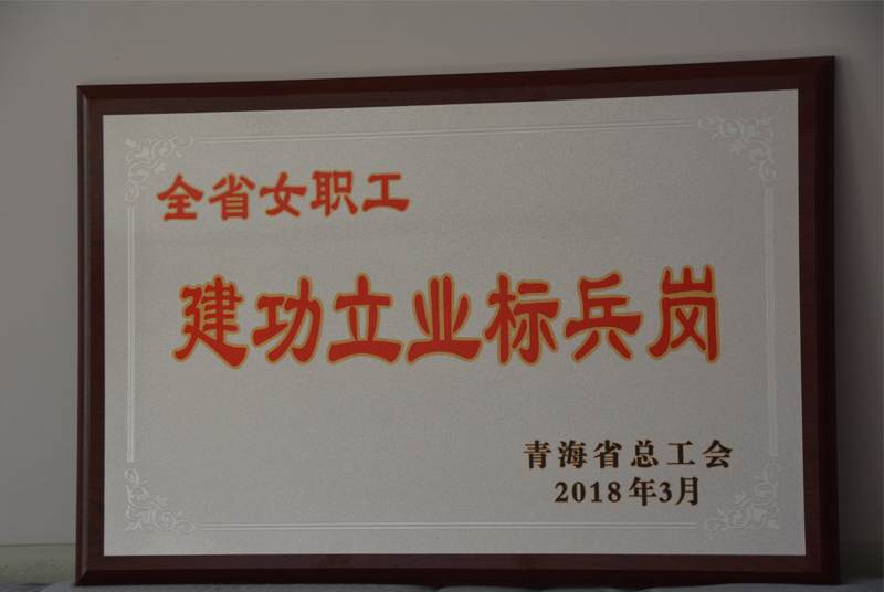 2018_全省女职工建功立业标兵.jpg