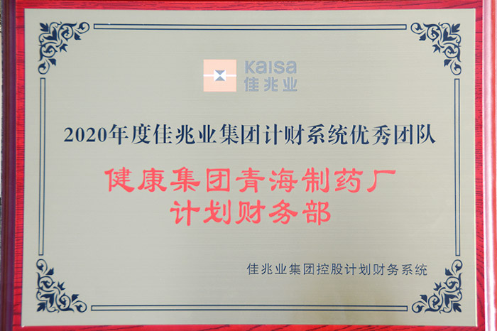 公司计划财务部荣获“2020年度 佳兆业集团计财系统优秀团队”称号