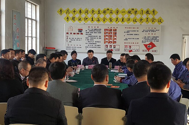 省委常委参加十车间党支部专题组织生活会和民主评议党员会议