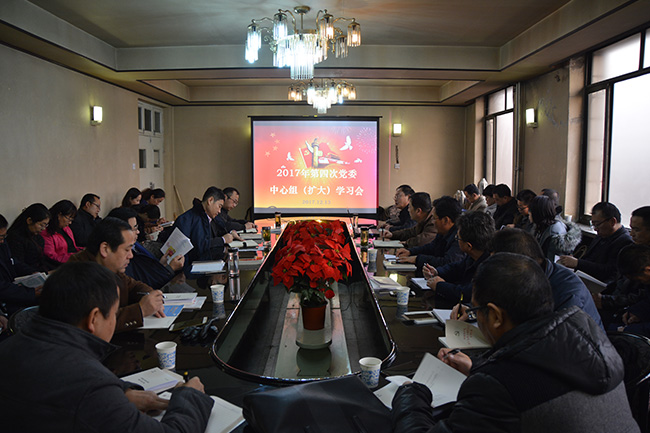 公司召开党委中心组（扩大）会议 专题学习党的十九大精神